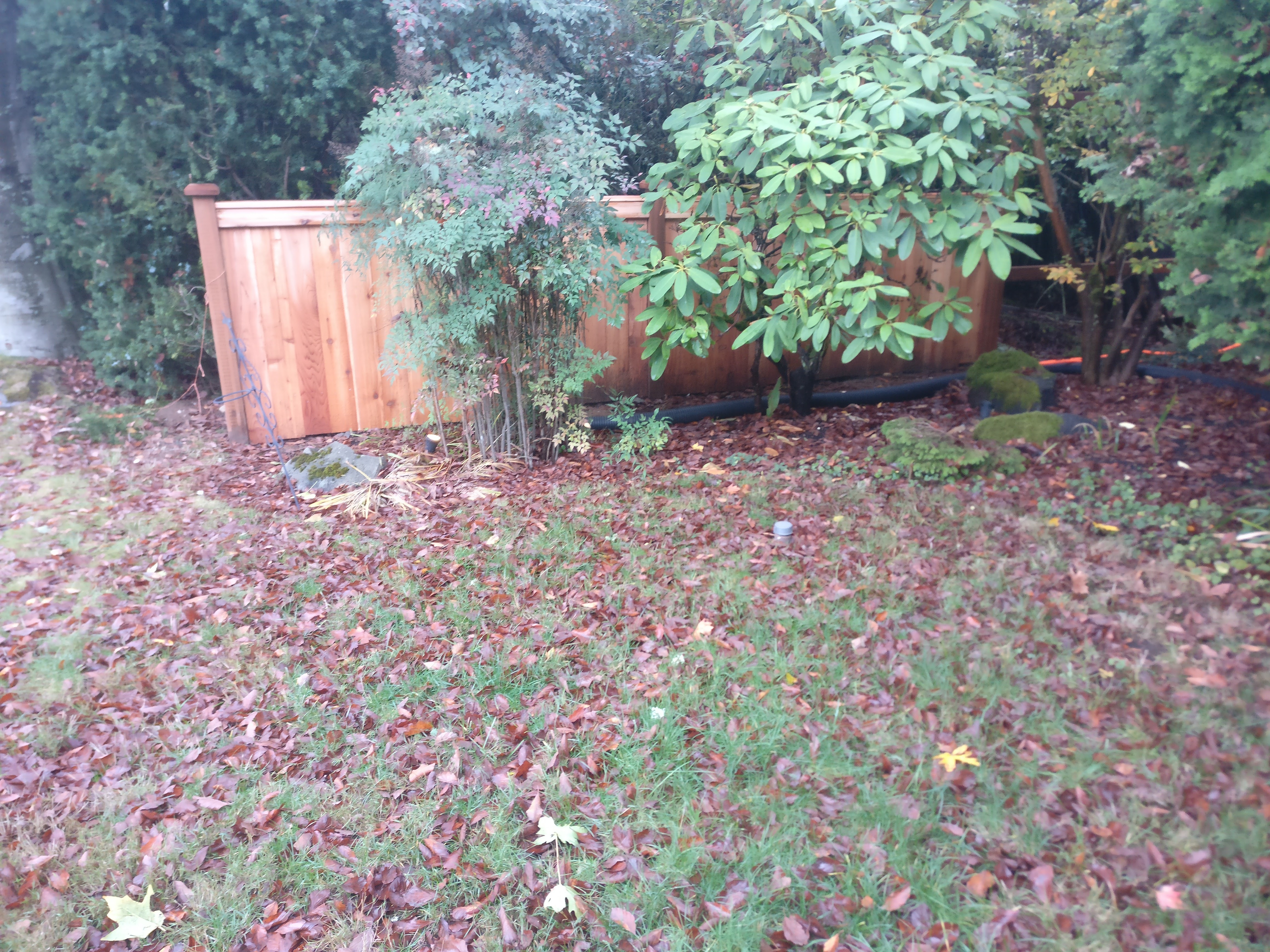 Custom Fence Installation