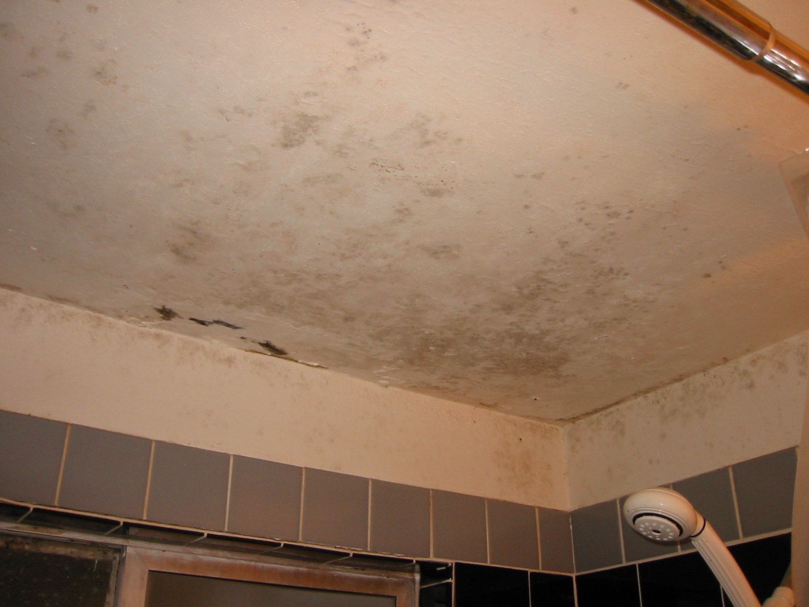 Original Bathroom Condition