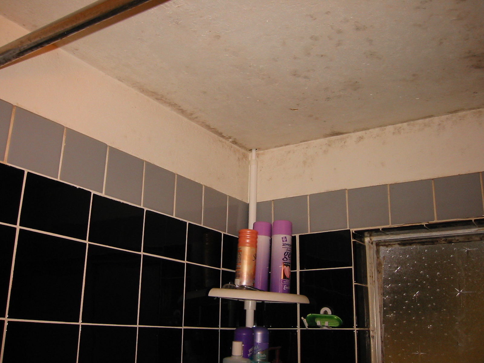 Original Bathroom Condition