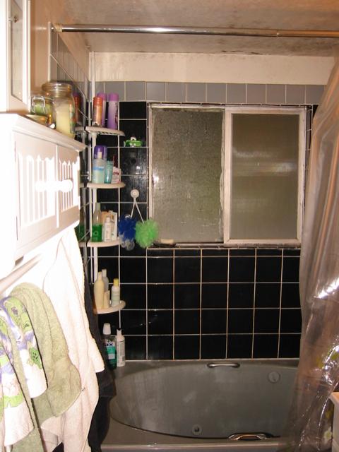 Original Bathroom Condition